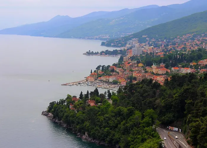 Apartament Anicic *